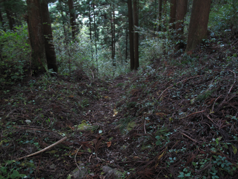 20171026hike (450)